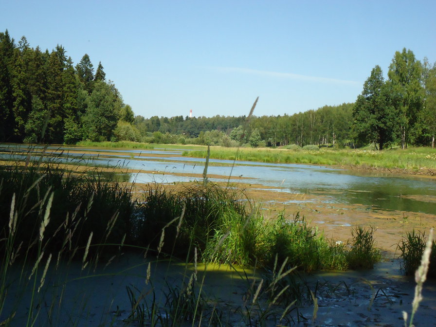 Летняя тишина - оригинал