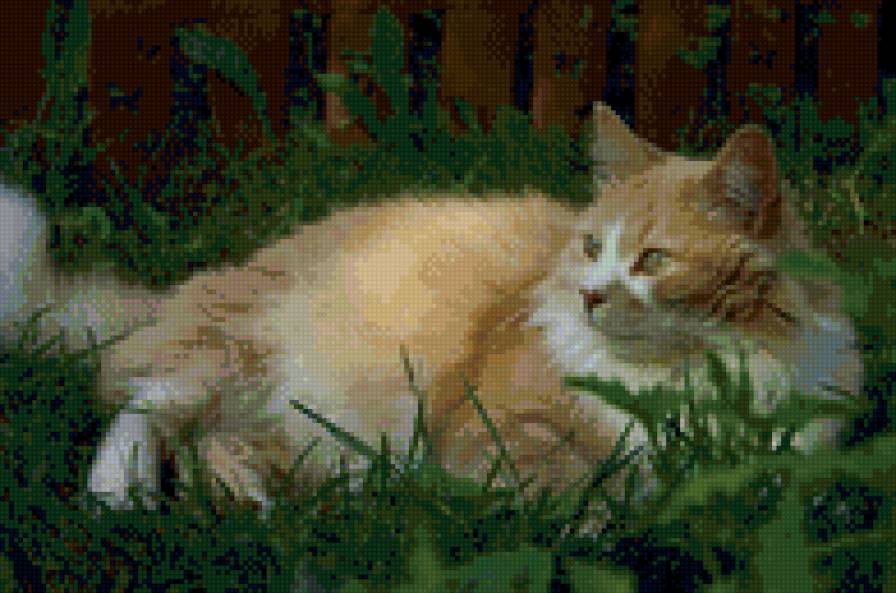 Маркизон - животные - предпросмотр