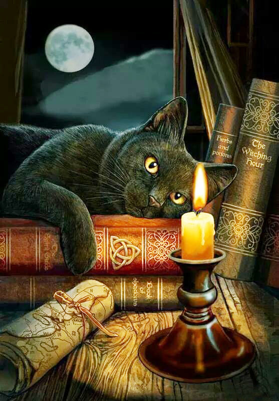 Гадалка. - карта, кот, луна, ночь, свечка, книги - оригинал