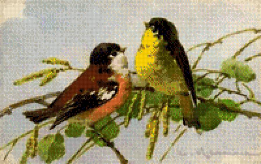 birds - предпросмотр