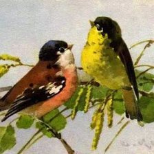 Схема вышивки «birds»