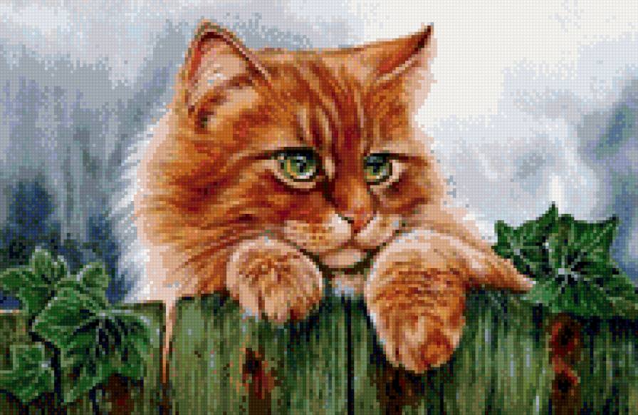 №886992 - предпросмотр