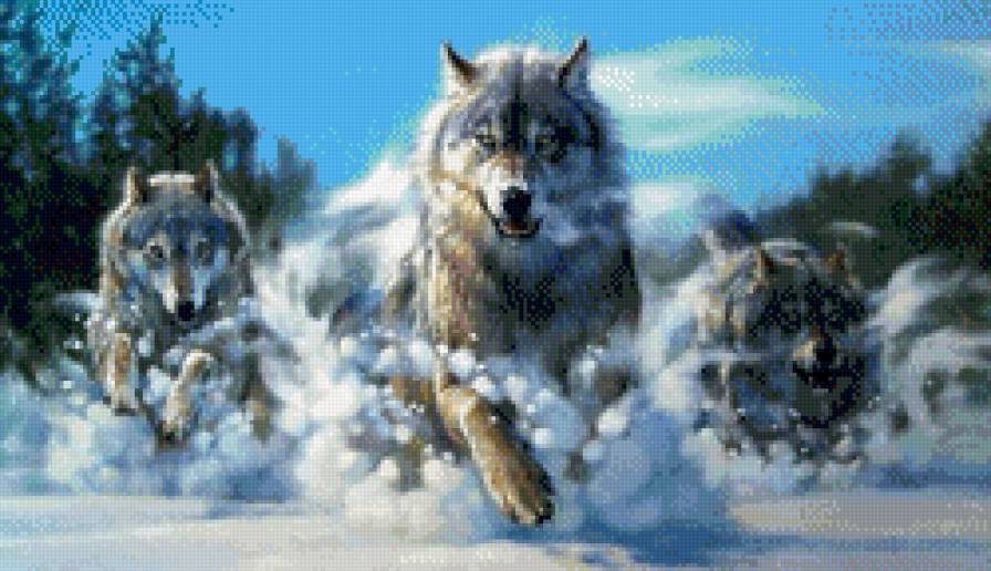 №887021 - предпросмотр