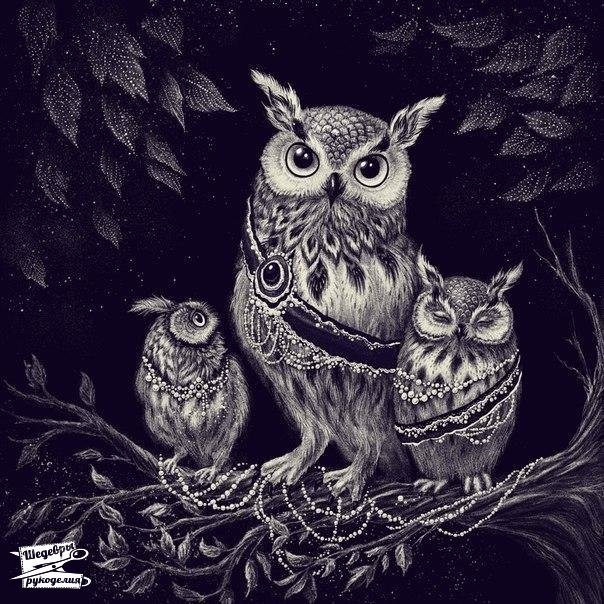 совы - оригинал