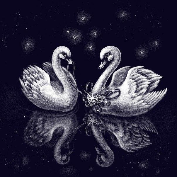 лебеди - оригинал