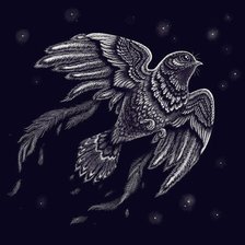 Схема вышивки «жарпцица»