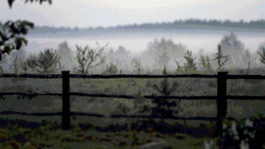 Туманное утро. - туман, утро, пейзаж - предпросмотр