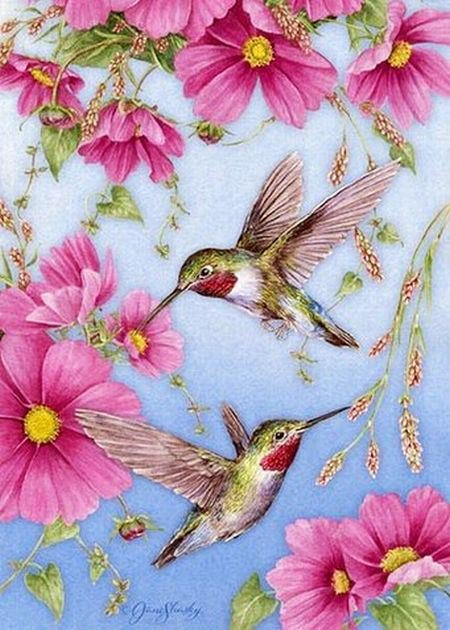 Калибри - птицы - оригинал