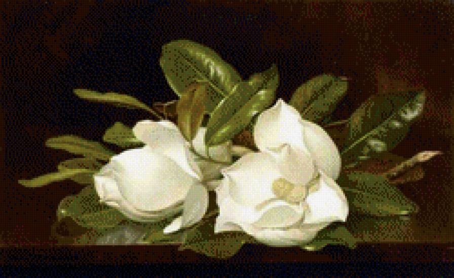 Художник MARTIN JOHNSON HEADE - букет, цветы - предпросмотр