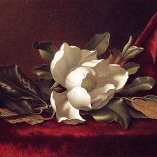Схема вышивки «Художник MARTIN JOHNSON HEADE»