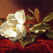 Схема вышивки «Художник MARTIN JOHNSON HEADE»