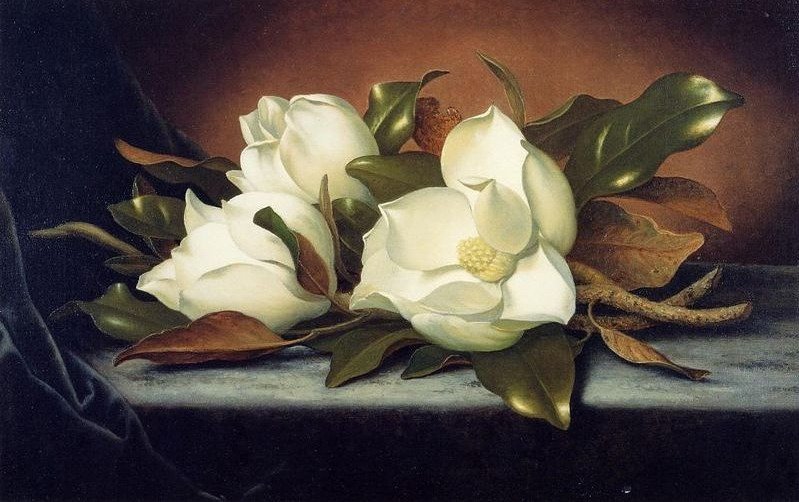 Художник MARTIN JOHNSON HEADE - букет, цветы - оригинал