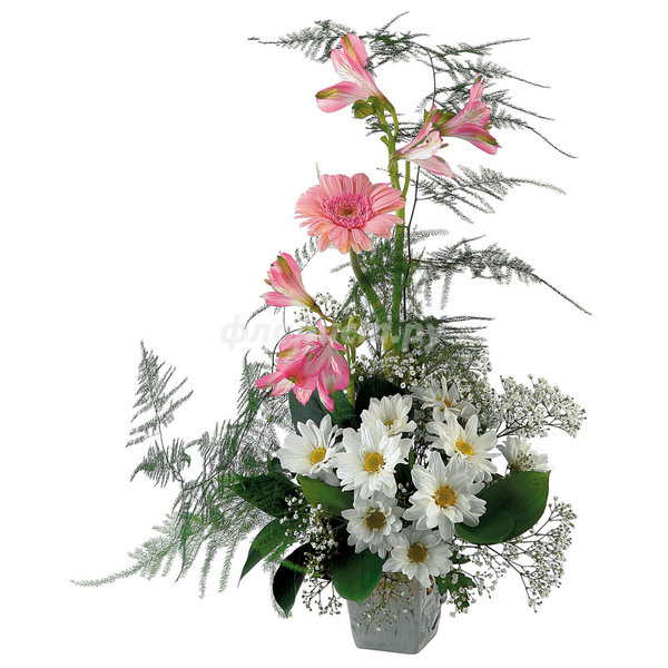 цветы - оригинал