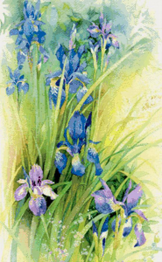 акварельные ирисы - живопись, акварель, цветок, ирис, цветы, панно - предпросмотр