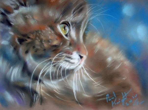 Пол Найт - оригинал