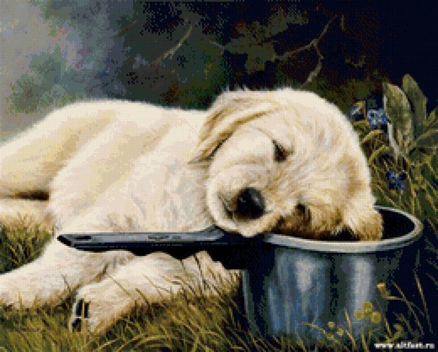 спящий щенок - собака, щенок - предпросмотр