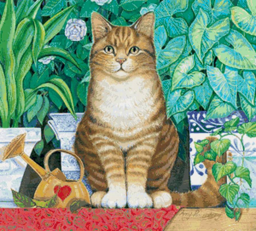 любимчик - кот, коты, котики - предпросмотр