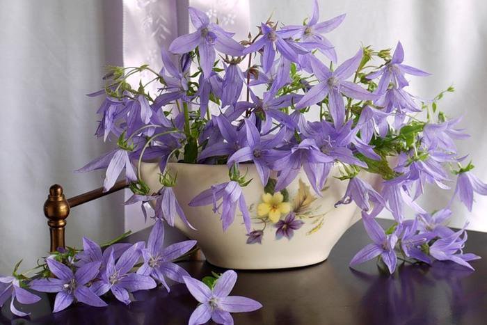 ваза с колокольчиками - ваза, колокольчики, цветы - оригинал