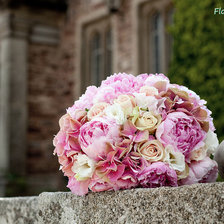 Схема вышивки «пионы5»