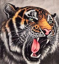 Схема вышивки «триптих "тигры" ( картина №3)»