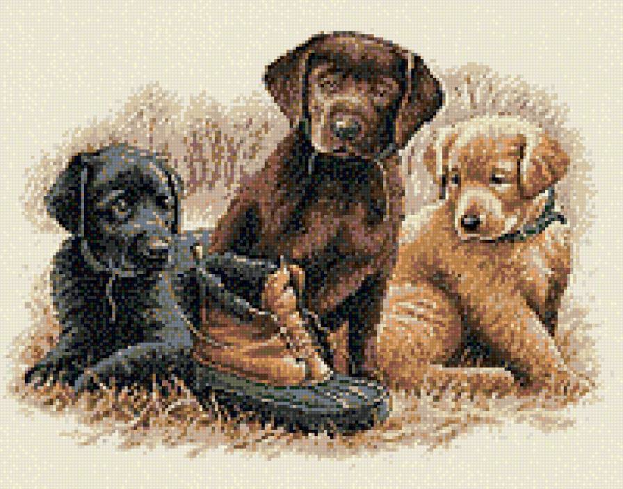 щенки с ботинком - предпросмотр