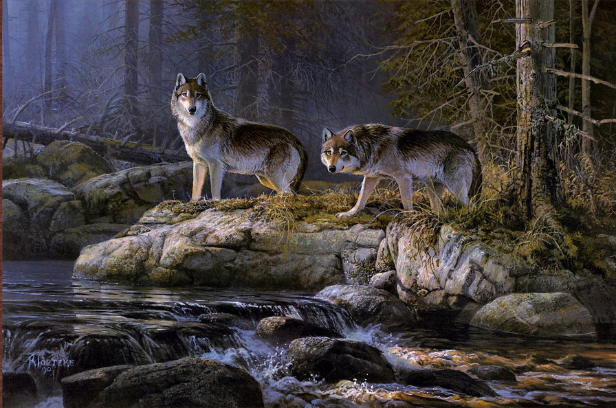 пара волков у реки - пейзаж, животные, природа, лес, река, волки, пара - оригинал