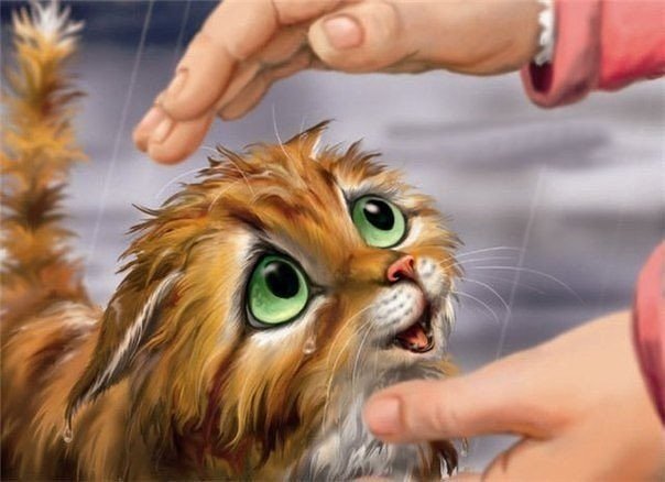 котёнок - котенок - оригинал