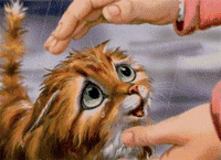 котёнок - котенок - предпросмотр