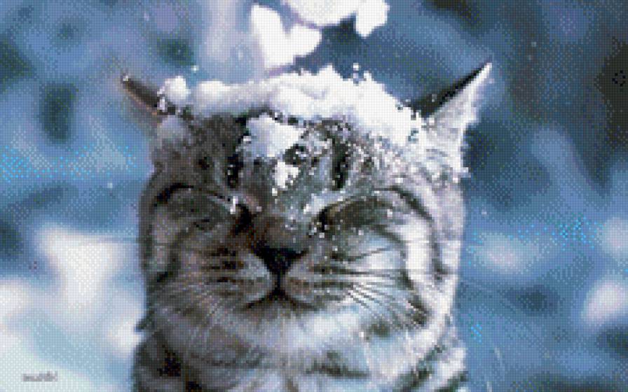 такого снегопада... - зима, снег, животные, кот - предпросмотр