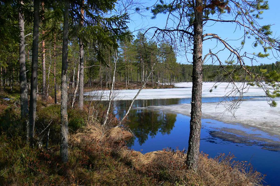 март - весна, природа. вода - оригинал