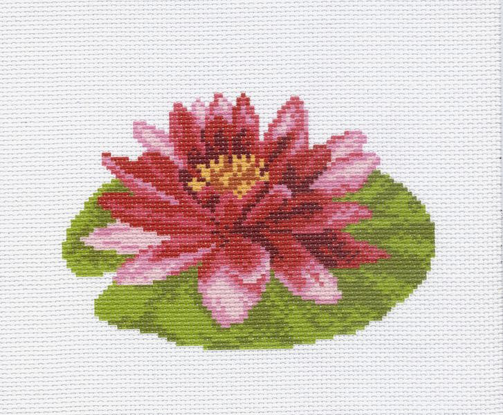 лилия - природа - оригинал