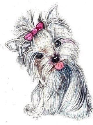 йорк с бантиком розовым - оригинал