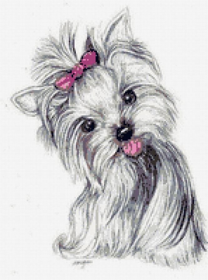 йорк с бантиком розовым - предпросмотр