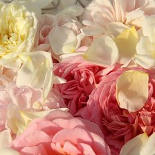 Схема вышивки «цветы»