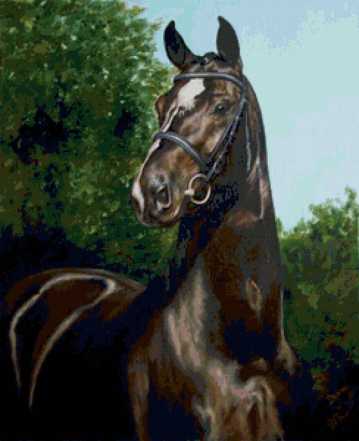 лошадь - животные, пейзаж, лошади - предпросмотр