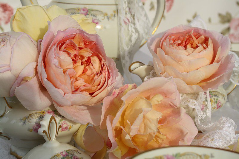 цветы - оригинал