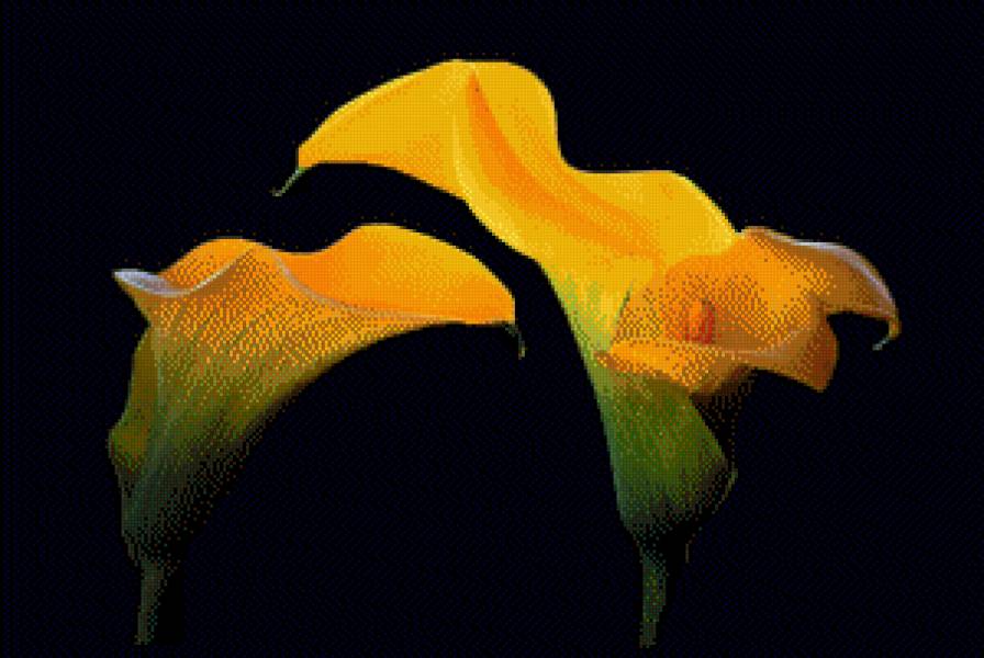 цветы - предпросмотр