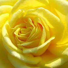 Схема вышивки «Цветок»