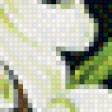 Предпросмотр схемы вышивки «№889718»