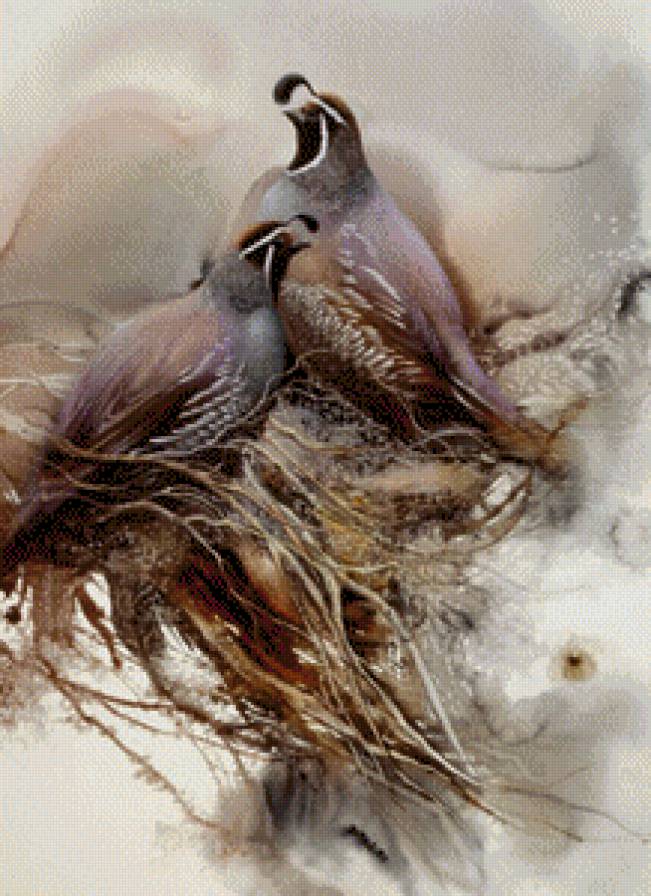 Lee Bogle - Quail - предпросмотр