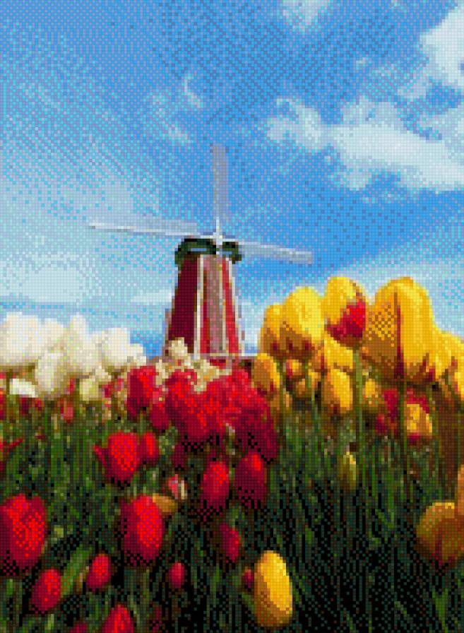 мельница - мельница, тюльпаны - предпросмотр