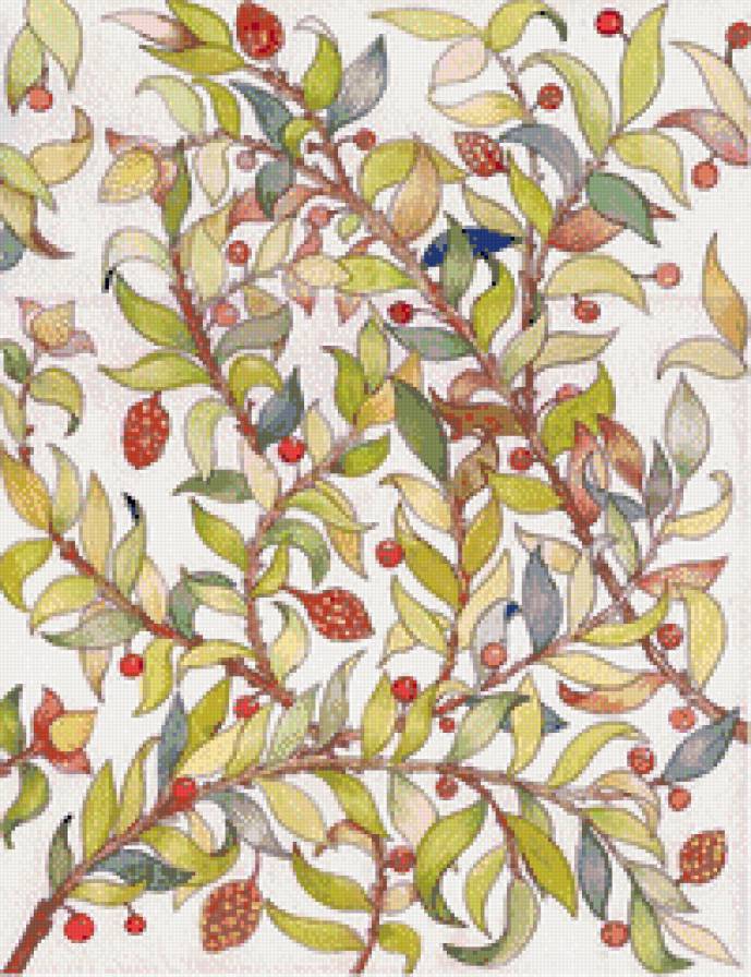 Гербарий - гербарий, растения - предпросмотр