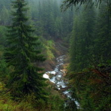 Схема вышивки «Тайга»