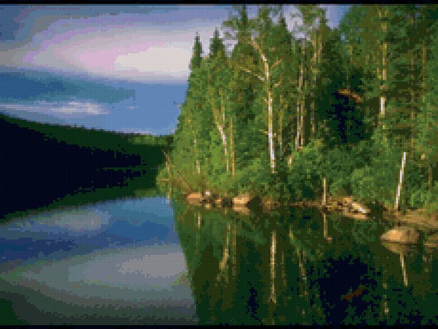 березки у воды - река, пейзаж, природа. лето - предпросмотр