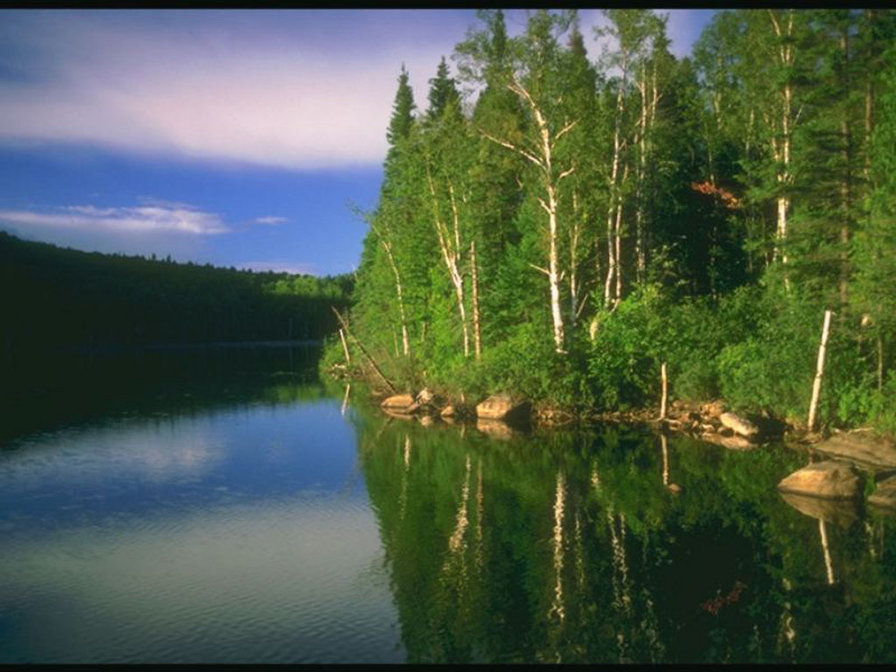 летнее спокойствие - пейзаж, река, природа. лето - оригинал