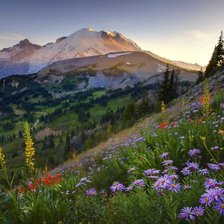 Схема вышивки «горное настроение»