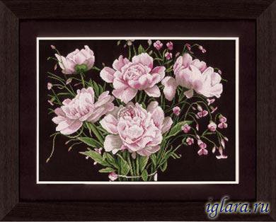 Пионы - цветы - оригинал