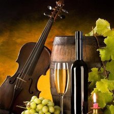 винный погреб