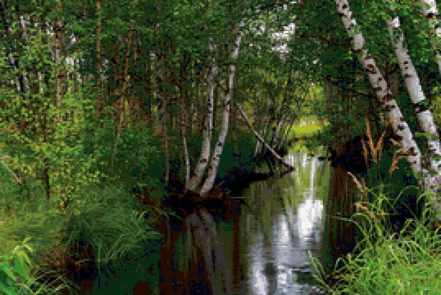 летний пейзаж - лес, река, березы, пейзаж. природа. лето - предпросмотр