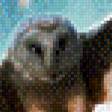 Предпросмотр схемы вышивки «сова» (№890756)